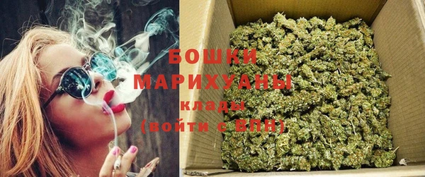 стафф Михайловск