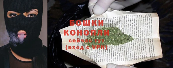 стафф Михайловск