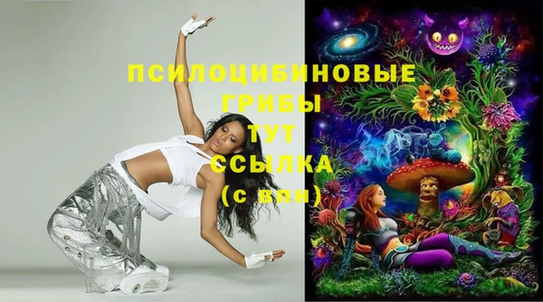 стафф Михайловск