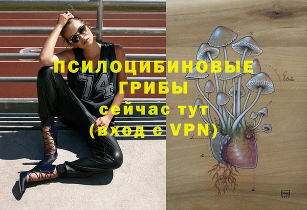 прущая мука Михайлов