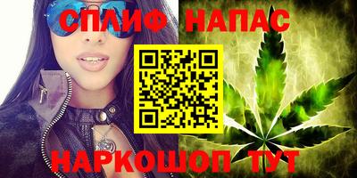 твердый Будённовск