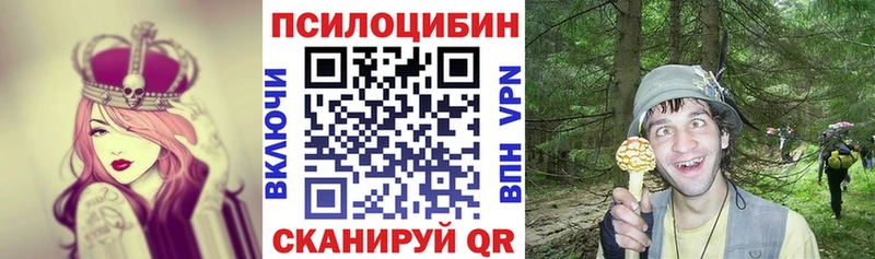 дарнет шоп  MEGA tor  Псилоцибиновые грибы Cubensis  Чита 