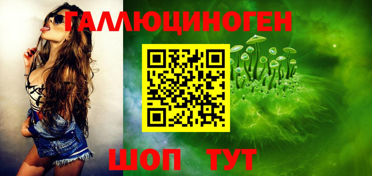 Галлюциногенные грибы GOLDEN TEACHER  Вход с VPN  Галлюциногенные грибы Psilocybe  Чита 